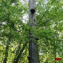 Korisnik